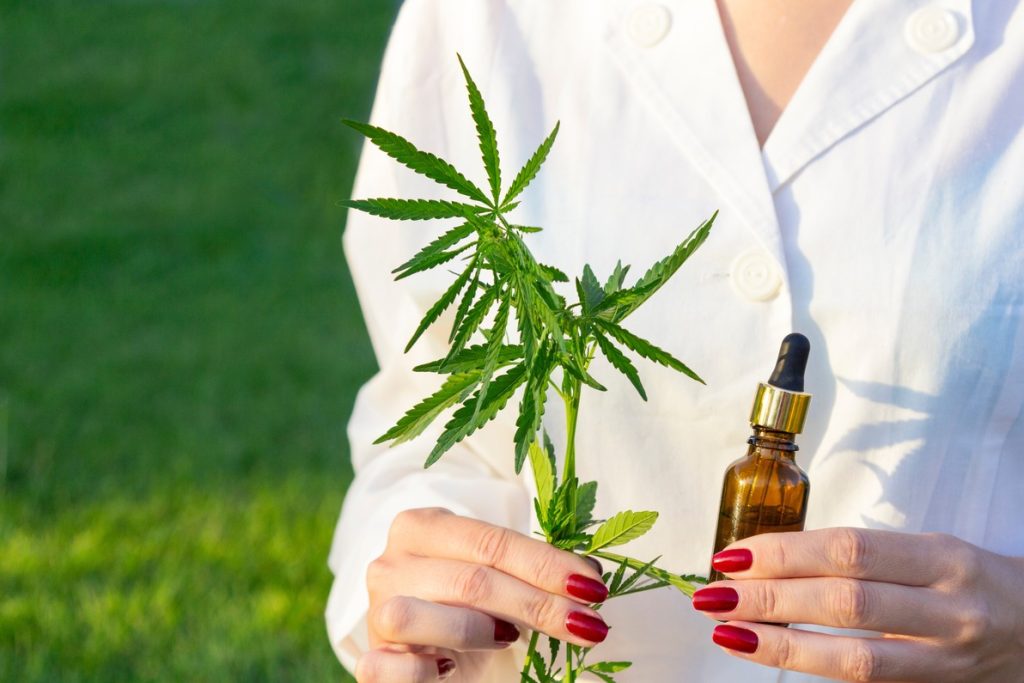 a bottle of cbd oil with a fresh leaves of marijuana holding both by a woman wearing a white shirt